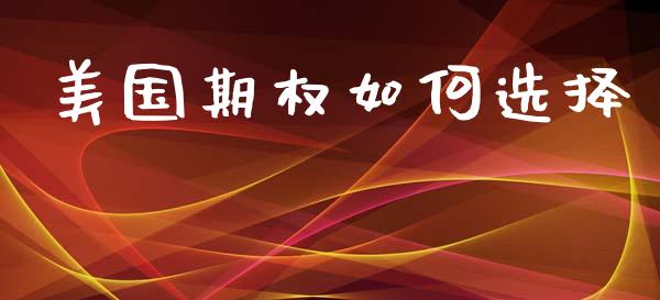 美国期权如何选择_https://wap.fcdydaikuan.com_金融机构_第1张