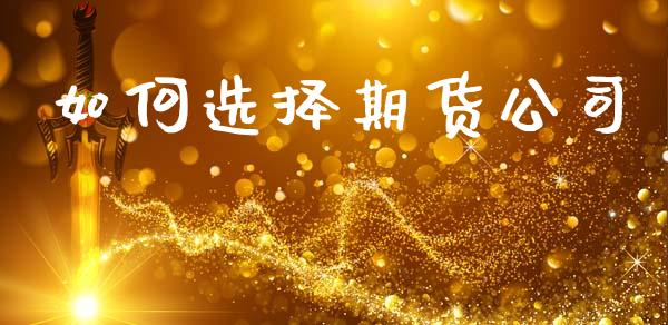 如何选择期货公司_https://wap.fcdydaikuan.com_国际投资_第1张