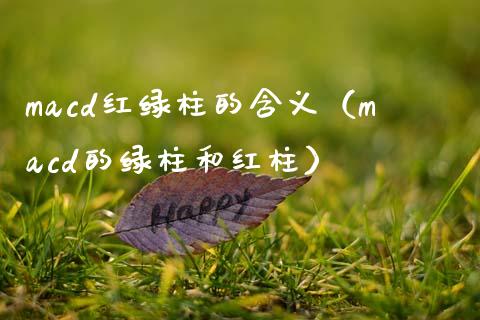macd红绿柱的含义（macd的绿柱和红柱）_https://wap.fcdydaikuan.com_期货品种_第1张