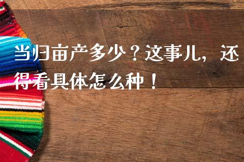 当归亩产多少？这事儿，还得看具体怎么种！_https://wap.fcdydaikuan.com_金融机构_第1张