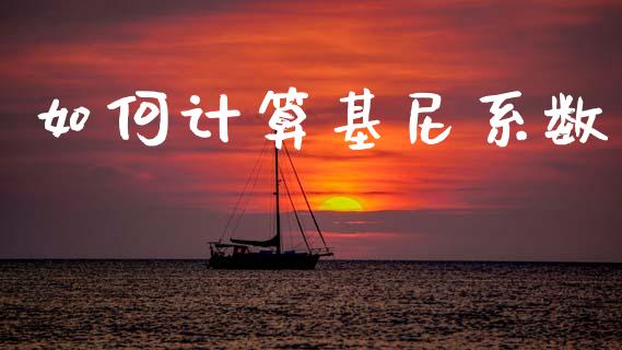 如何计算基尼系数_https://wap.fcdydaikuan.com_期货品种_第1张