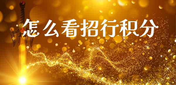 怎么看招行积分_https://wap.fcdydaikuan.com_金融机构_第1张