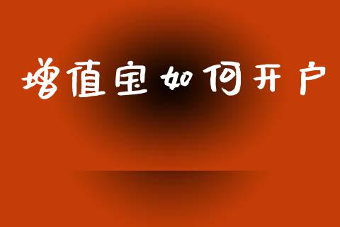 增值宝如何开户_https://wap.fcdydaikuan.com_投资策略_第1张