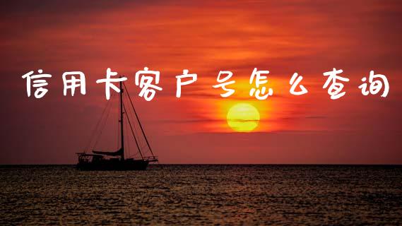 信用卡客户号怎么查询_https://wap.fcdydaikuan.com_国际投资_第1张