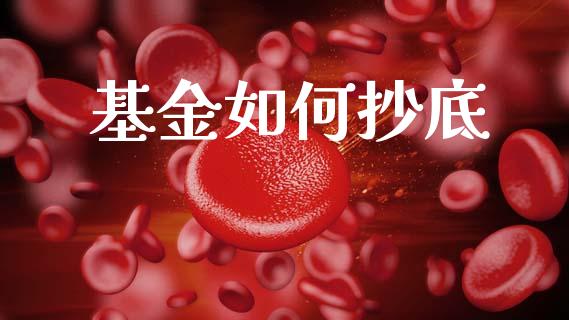 基金如何抄底_https://wap.fcdydaikuan.com_新股数据_第1张