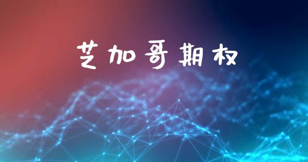 芝加哥期权_https://wap.fcdydaikuan.com_投资策略_第1张