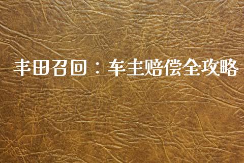 丰田召回：车主赔偿全攻略_https://wap.fcdydaikuan.com_投资策略_第1张