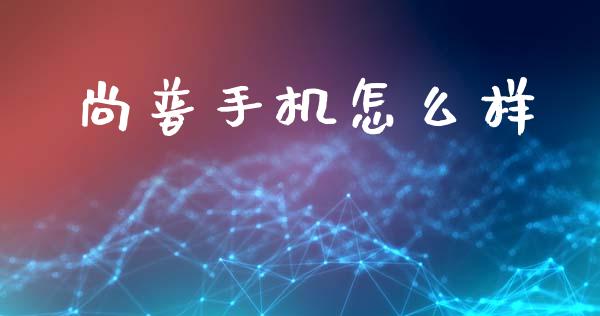 尚普手机怎么样_https://wap.fcdydaikuan.com_投资策略_第1张