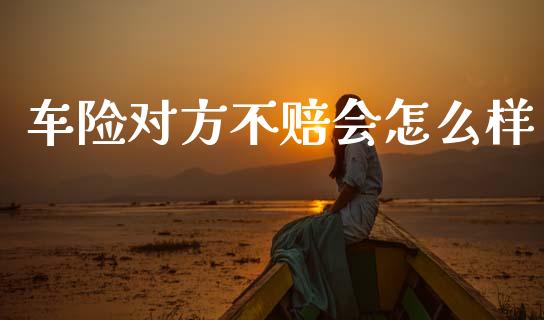 车险对方不赔会怎么样_https://wap.fcdydaikuan.com_期货品种_第1张