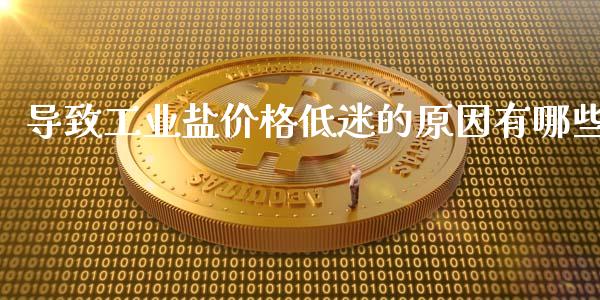 导致工业盐价格低迷的原因有哪些_https://wap.fcdydaikuan.com_期货品种_第1张