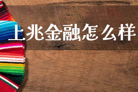 上兆金融怎么样_https://wap.fcdydaikuan.com_国际投资_第1张