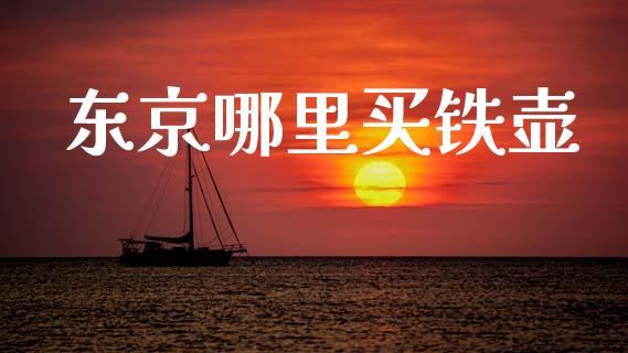 东京哪里买铁壶_https://wap.fcdydaikuan.com_国际投资_第1张