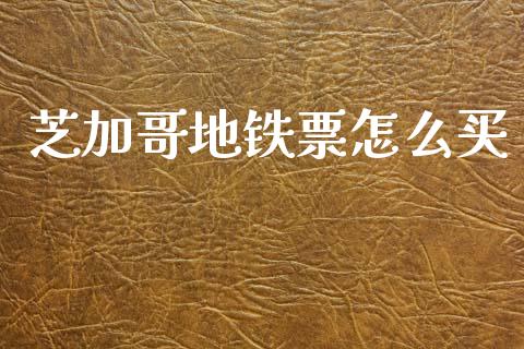 芝加哥地铁票怎么买_https://wap.fcdydaikuan.com_投资策略_第1张