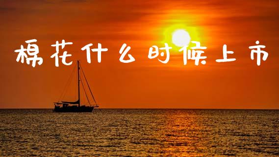 棉花什么时候上市_https://wap.fcdydaikuan.com_理财顾问_第1张