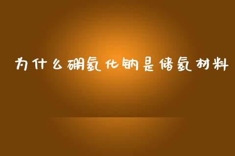 为什么硼氢化钠是储氢材料_https://wap.fcdydaikuan.com_新股数据_第1张