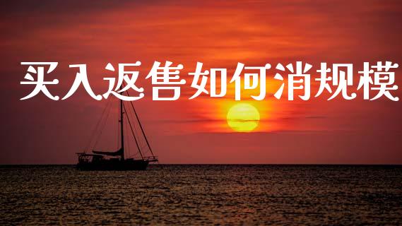 买入返售如何消规模_https://wap.fcdydaikuan.com_新股数据_第1张
