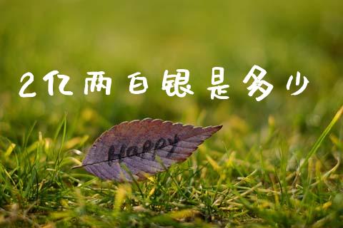 2亿两白银是多少_https://wap.fcdydaikuan.com_投资策略_第1张