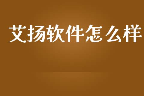 艾扬软件怎么样_https://wap.fcdydaikuan.com_金融机构_第1张