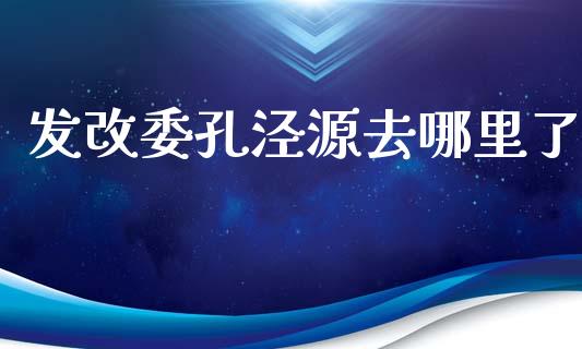 发改委孔泾源去哪里了_https://wap.fcdydaikuan.com_金融机构_第1张