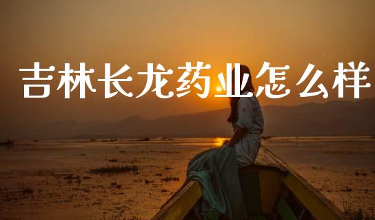 吉林长龙药业怎么样_https://wap.fcdydaikuan.com_期货品种_第1张