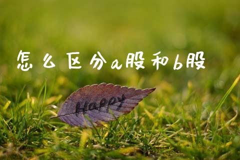 怎么区分a股和b股_https://wap.fcdydaikuan.com_理财顾问_第1张