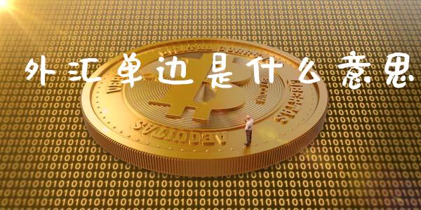 外汇单边是什么意思_https://wap.fcdydaikuan.com_新股数据_第1张