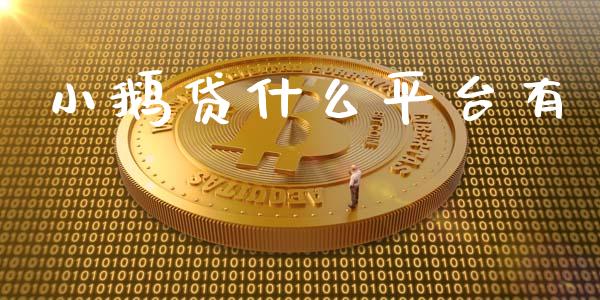小鹅贷什么平台有_https://wap.fcdydaikuan.com_投资策略_第1张