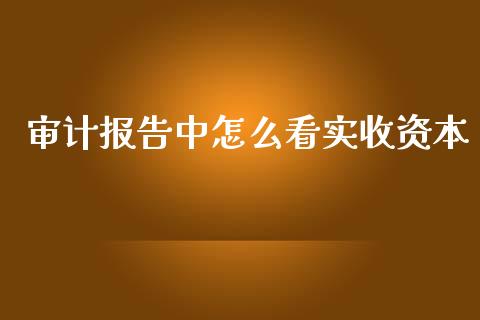 审计报告中怎么看实收资本_https://wap.fcdydaikuan.com_投资策略_第1张