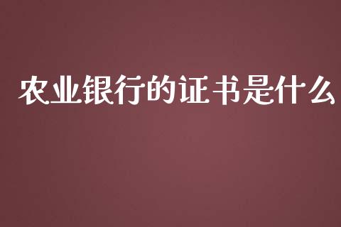 农业银行的证书是什么_https://wap.fcdydaikuan.com_期货品种_第1张