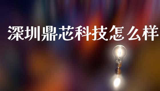 深圳鼎芯科技怎么样_https://wap.fcdydaikuan.com_期货品种_第1张