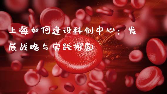 上海如何建设科创中心：发展战略与实践探索_https://wap.fcdydaikuan.com_投资策略_第1张