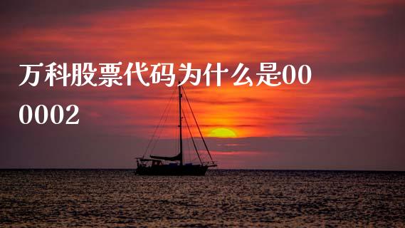 万科股票代码为什么是000002_https://wap.fcdydaikuan.com_期货品种_第1张