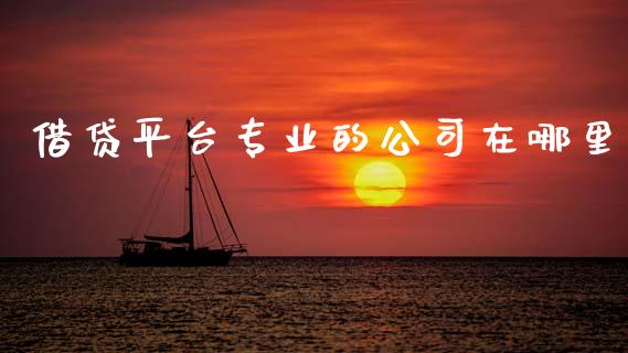 借贷平台专业的公司在哪里_https://wap.fcdydaikuan.com_国际投资_第1张
