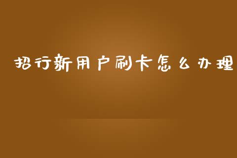 招行新用户刷卡怎么办理_https://wap.fcdydaikuan.com_期货品种_第1张