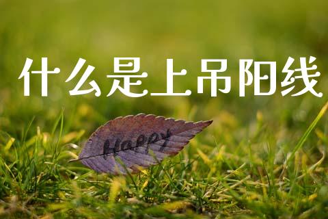 什么是上吊阳线_https://wap.fcdydaikuan.com_国际投资_第1张