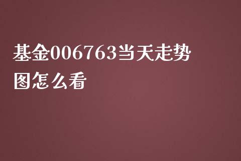基金006763当天走势图怎么看_https://wap.fcdydaikuan.com_新股数据_第1张
