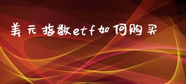 美元指数etf如何购买_https://wap.fcdydaikuan.com_金融机构_第1张
