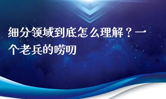 细分领域到底怎么理解？一个老兵的唠叨_https://wap.fcdydaikuan.com_期货品种_第1张