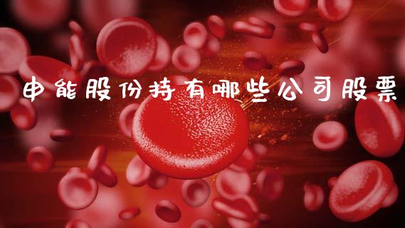申能股份持有哪些公司股票_https://wap.fcdydaikuan.com_国际投资_第1张