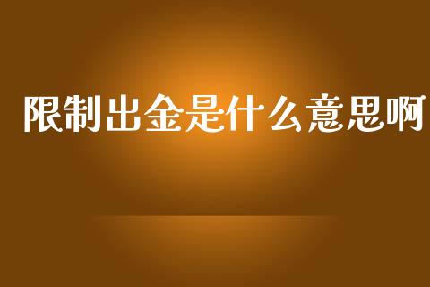 限制出金是什么意思啊_https://wap.fcdydaikuan.com_新股数据_第1张