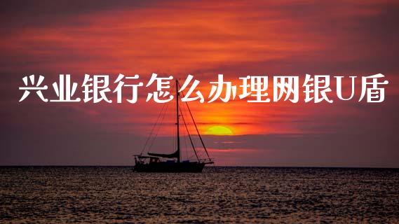 兴业银行怎么办理网银U盾_https://wap.fcdydaikuan.com_期货品种_第1张