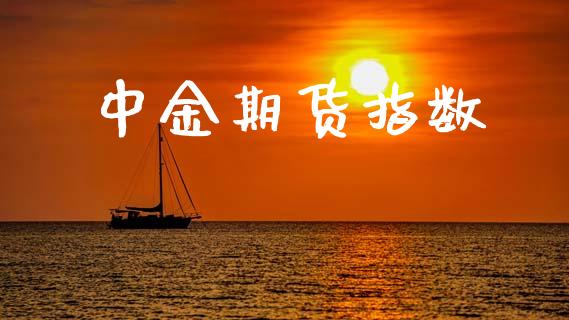中金期货指数_https://wap.fcdydaikuan.com_金融机构_第1张