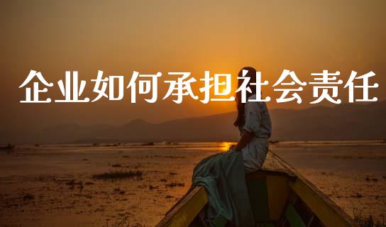 企业如何承担社会责任_https://wap.fcdydaikuan.com_新股数据_第1张