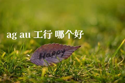 ag au 工行 哪个好_https://wap.fcdydaikuan.com_金融机构_第1张