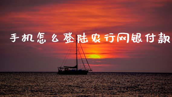 手机怎么登陆农行网银付款_https://wap.fcdydaikuan.com_期货品种_第1张