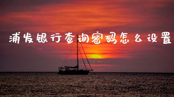浦发银行查询密码怎么设置_https://wap.fcdydaikuan.com_新股数据_第1张