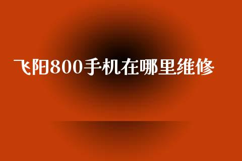 飞阳800手机在哪里维修_https://wap.fcdydaikuan.com_理财顾问_第1张