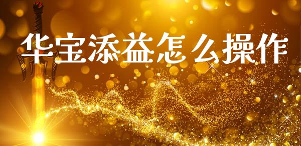 华宝添益怎么操作_https://wap.fcdydaikuan.com_期货品种_第1张