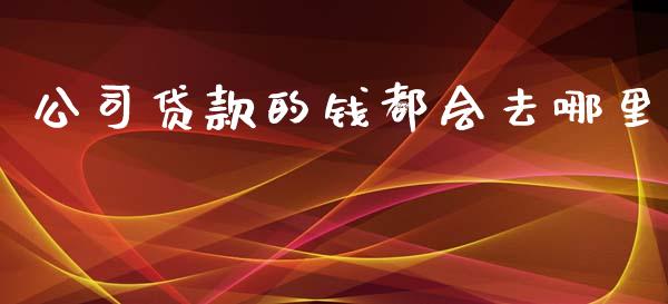 公司贷款的钱都会去哪里_https://wap.fcdydaikuan.com_理财顾问_第1张