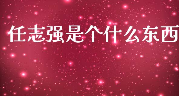 任志强是个什么东西_https://wap.fcdydaikuan.com_投资策略_第1张